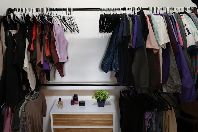 103 S Benson St, Lexington, IL 61753 - view of walk in closet