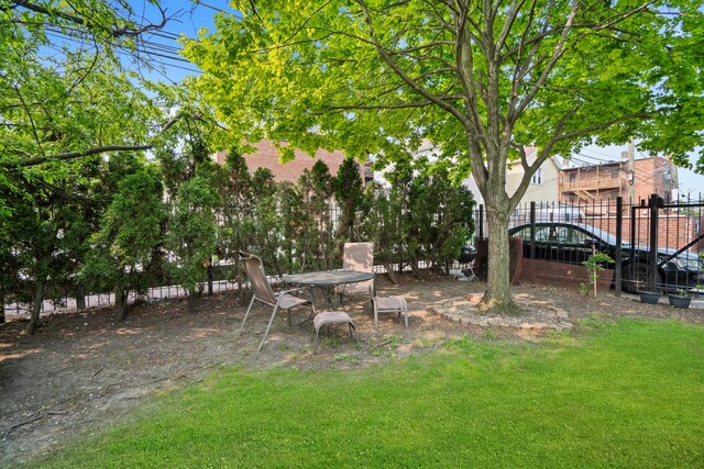924 S May St, Chicago, IL 60607 - view of yard