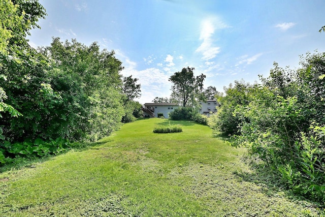 0S500 Cornell Ave, Villa Park, IL 60181 - photo 16