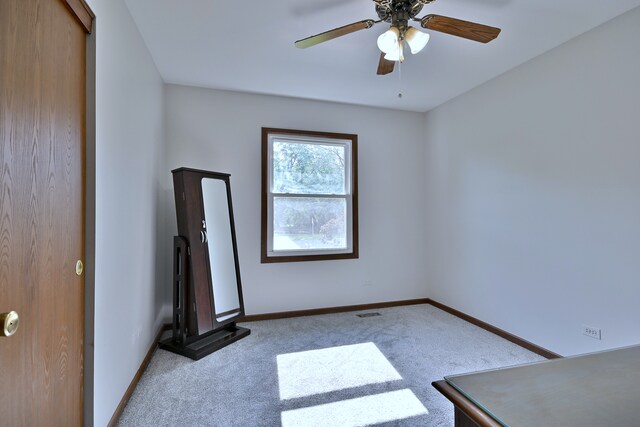 0S500 Cornell Ave, Villa Park, IL 60181 - photo 9