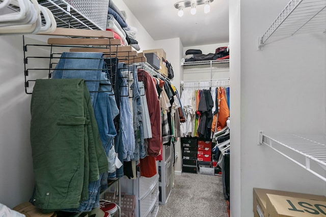 131 Bristol Ln Unit 2, Wood Dale, IL 60191 - walk in closet featuring carpet