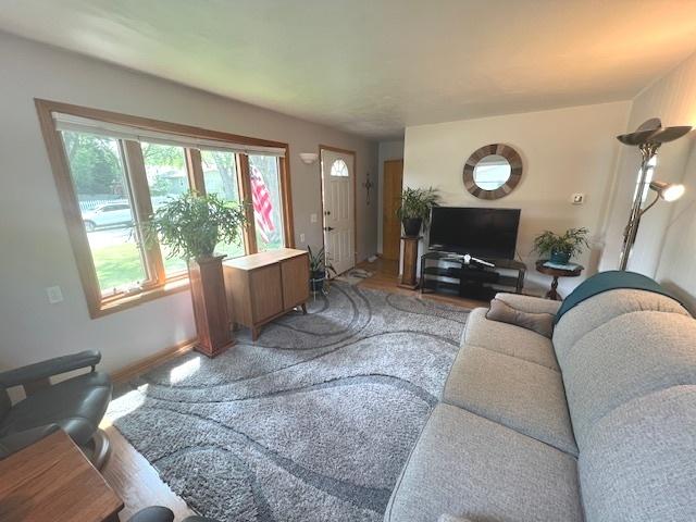 211 Koch Dr, Genoa, IL 60135 - photo 8