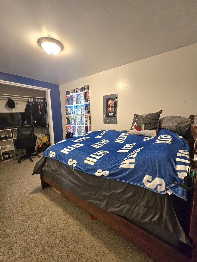 108 E Washington St, Ashkum, IL 60911 - bedroom featuring carpet and a closet