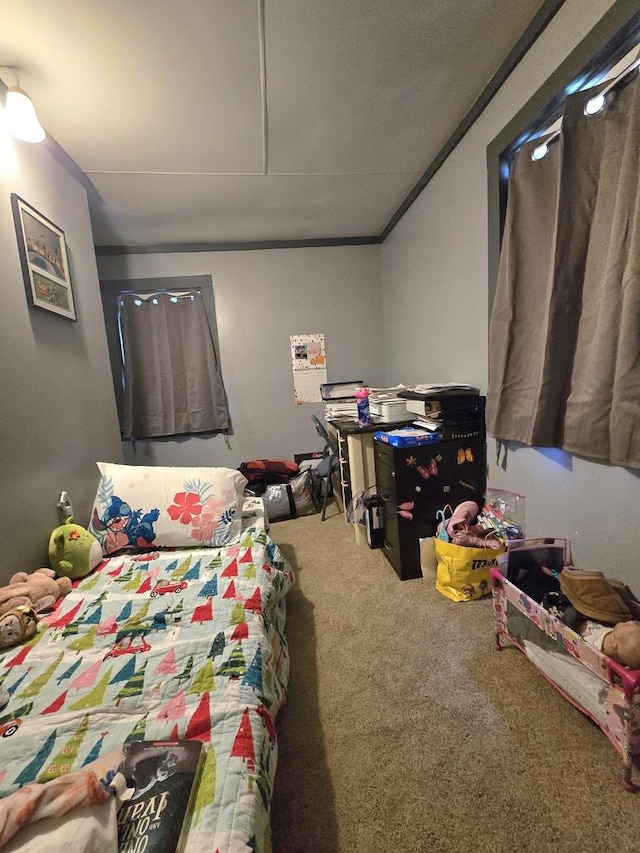 108 E Washington St, Ashkum, IL 60911 - bedroom featuring carpet flooring