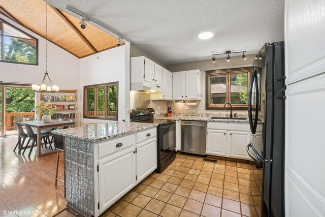 11214 Halma Ln, Woodstock, IL 60098 - kitchen featuring black appliances, under cabinet range hood, track lighting, white cabinets, and high vaulted ceiling