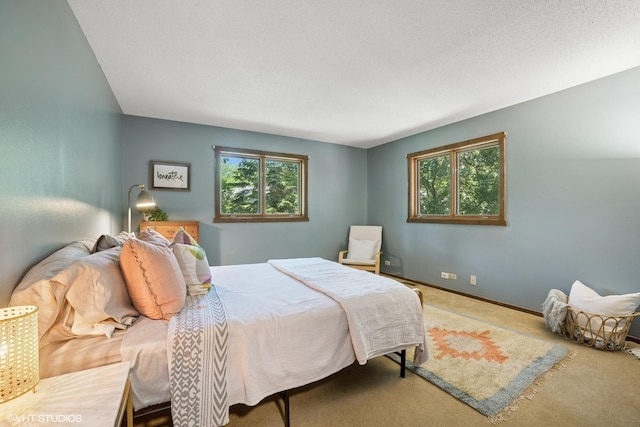 11214 Halma Ln, Woodstock, IL 60098 - carpeted bedroom with multiple windows