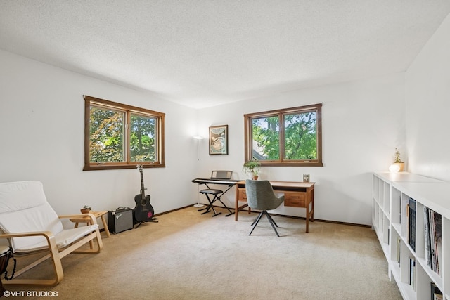 11214 Halma Ln, Woodstock, IL 60098 - carpeted office featuring healthy amount of natural light and a textured ceiling
