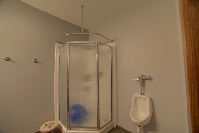 1897 N 2500 E Rd, Watseka, IL 60970 - bathroom with a stall shower