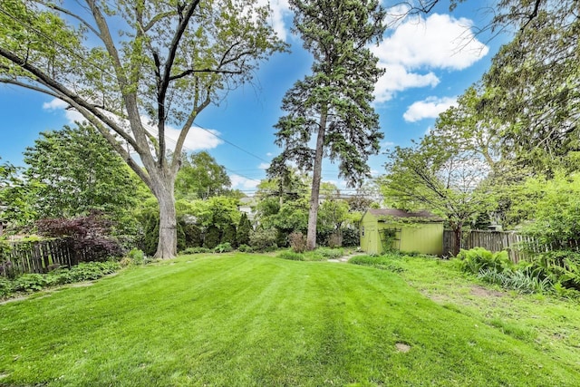 433 S Dunton Ave, Arlington Heights, IL 60005 - view of yard