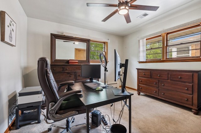 8535 S Sacramento Ave, Chicago, IL 60652 - photo 9