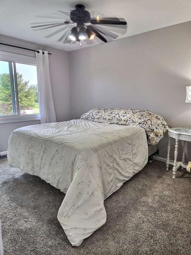 23243 S Volbrecht Rd, Crete, IL 60417 - photo 24