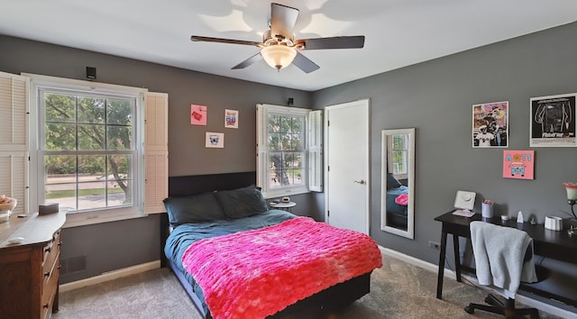 533 Warwick Dr, Naperville, IL 60565 - bedroom featuring carpet, baseboards, and a ceiling fan