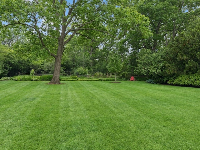 811 Redwood Ln, Glenview, IL 60025 - view of yard