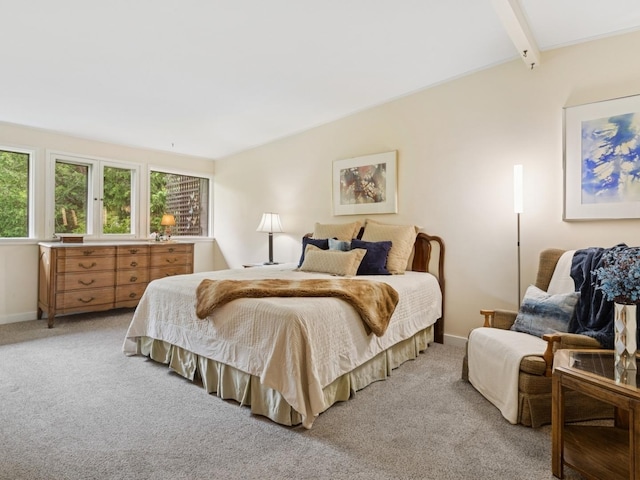 811 Redwood Ln, Glenview, IL 60025 - bedroom with light carpet and baseboards