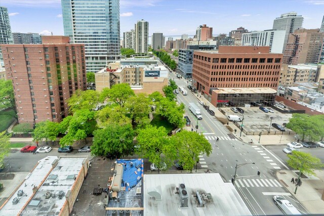1122 N Clark St Unit 1405, Chicago, IL 60610 - photo 21