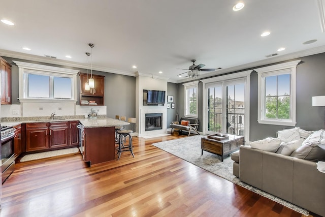 2709 W Bryn Mawr Ave Unit 4, Chicago, IL 60659 - living area featuring ornamental molding, ceiling fan, light wood finished floors, a fireplace, and recessed lighting