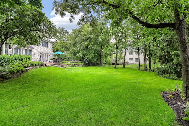 1925 Kentwood Ct, Darien, IL 60561 - view of yard