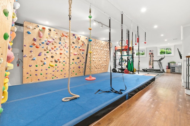 2429 W Belden Ave, Chicago, IL 60647 - game room with recessed lighting