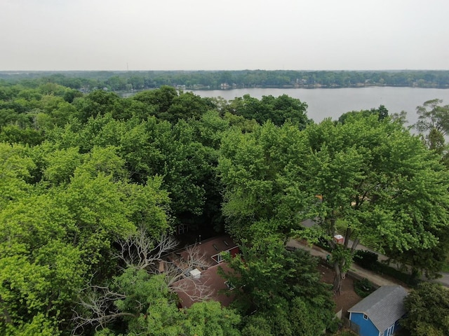 34140 N Hickory Ave, Grayslake, IL 60030 - drone / aerial view of a large body of water