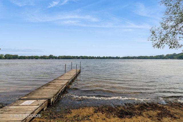 34140 N Hickory Ave, Grayslake, IL 60030 - dock area with a water view