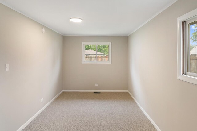 17303 Chicago Ave, Lansing, IL 60438 - spare room featuring carpet flooring, baseboards, and crown molding