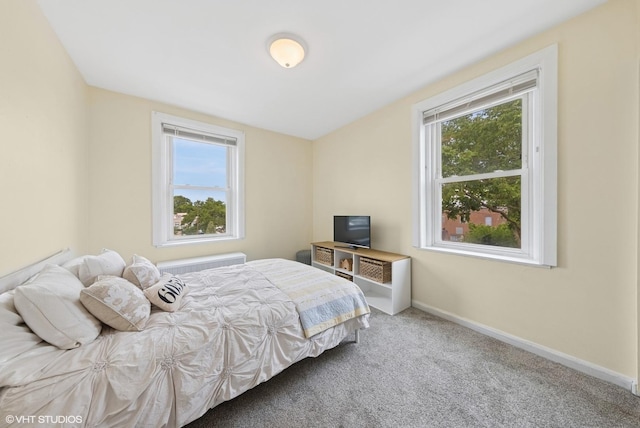 307 W Harris Ave Unit 3A, La Grange, IL 60525 - bedroom with carpet floors and baseboards