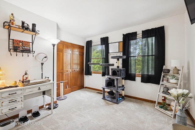 1006 Tristram Ct, West Dundee, IL 60118 - exercise room featuring carpet and baseboards