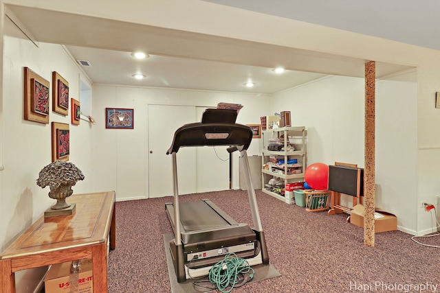 1704 Wildberry Dr Unit F, Glenview, IL 60025 - workout area featuring carpet floors and recessed lighting