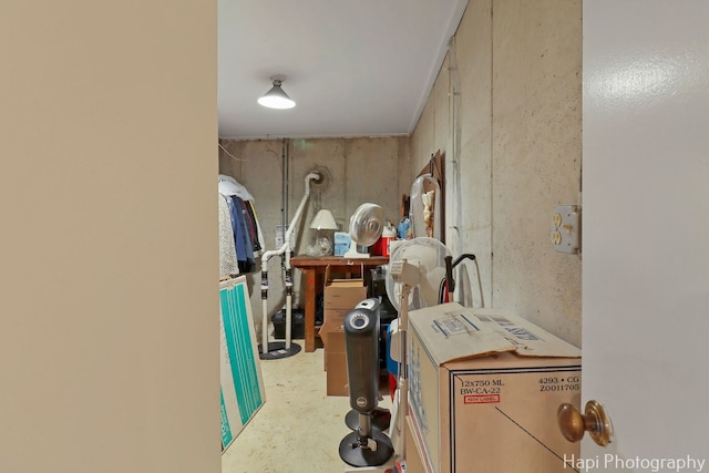 1704 Wildberry Dr Unit F, Glenview, IL 60025 - view of basement