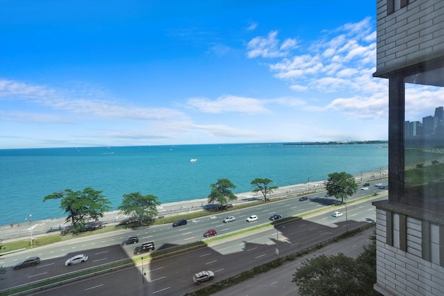 1440 N Lake Shore Dr Unit 10C, Chicago, IL 60610 - water view