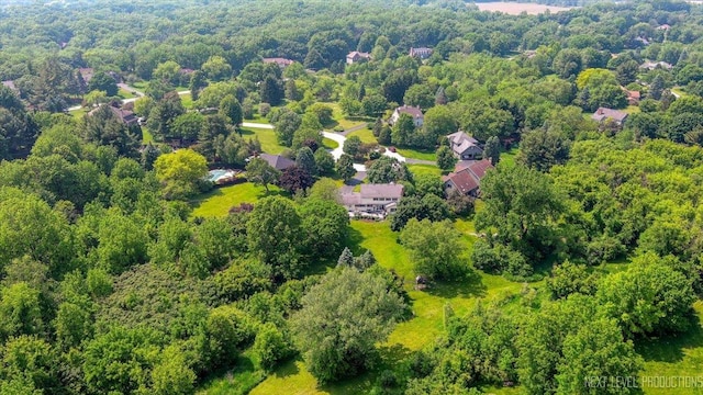 39W841 Prunetree Ln, Saint Charles, IL 60175 - aerial view of a forest