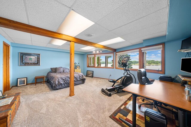 1171 Lady Bird Dr, Lake Holiday, IL 60552 - photo 46
