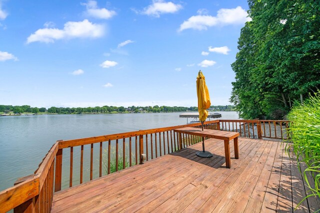 1171 Lady Bird Dr, Lake Holiday, IL 60552 - photo 63