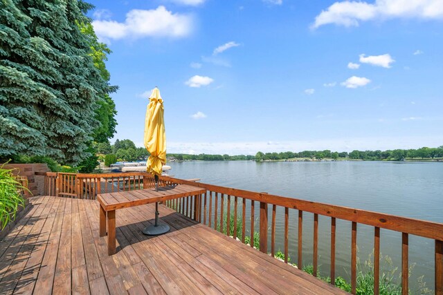 1171 Lady Bird Dr, Lake Holiday, IL 60552 - photo 64