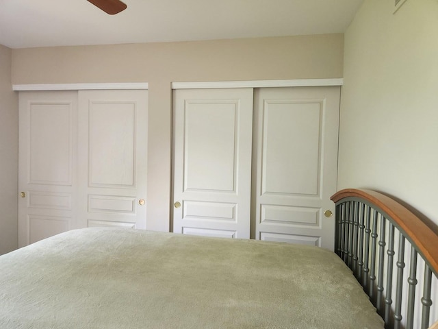 152 W Chatham Ln, Round Lake, IL 60073 - bedroom featuring two closets
