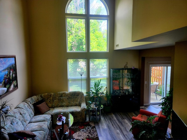152 W Chatham Ln, Round Lake, IL 60073 - living room featuring wood finished floors and a high ceiling