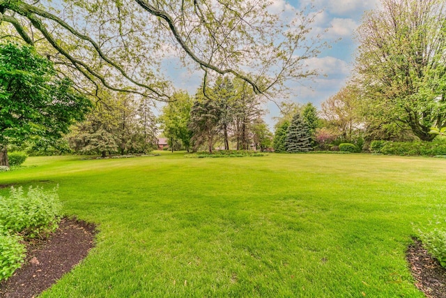 15 Highview Cir, Hawthorn Woods, IL 60047 - view of green lawn with view of scattered trees
