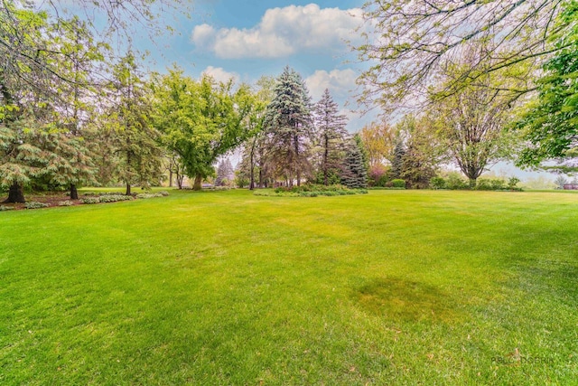 15 Highview Cir, Hawthorn Woods, IL 60047 - view of green lawn