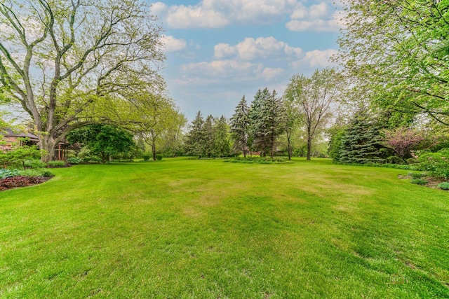 15 Highview Cir, Hawthorn Woods, IL 60047 - view of green lawn