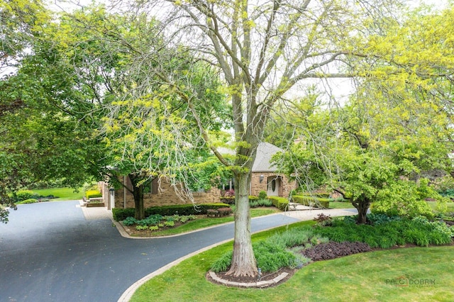 15 Highview Cir, Hawthorn Woods, IL 60047 - view of home's community featuring a yard and asphalt driveway