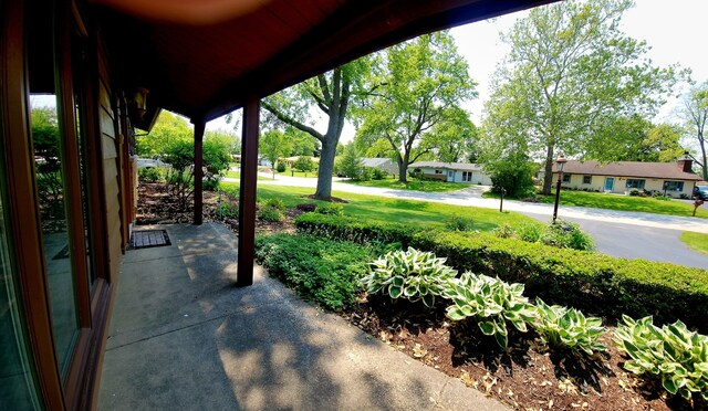 7713 Brookhaven Ave, Darien, IL 60561 - photo 5