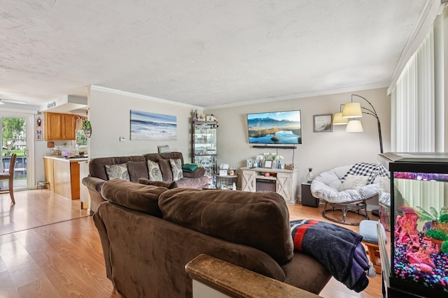 917 Aimtree Pl, Schaumburg, IL 60194 - living area featuring light wood-style floors, crown molding, and ceiling fan