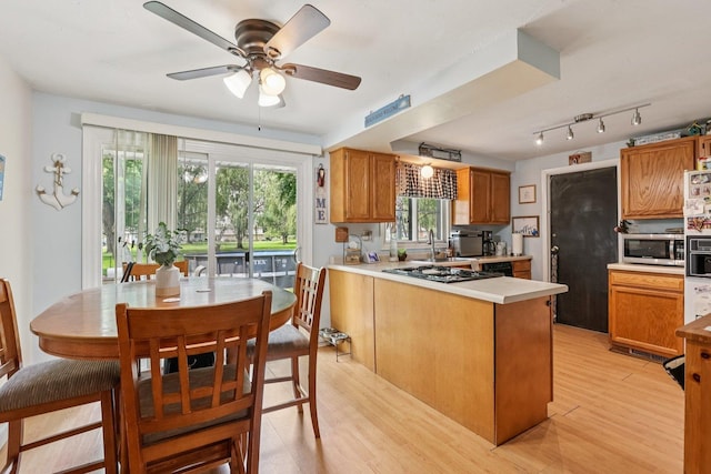 917 Aimtree Pl, Schaumburg, IL 60194 - kitchen with stainless steel appliances, light wood-style flooring, ceiling fan, a peninsula, and light countertops