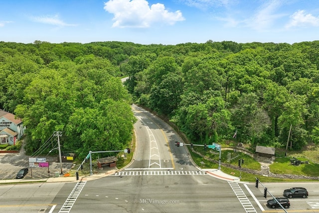 221 Willow Blvd, Willow Springs, IL 60480 - drone / aerial view of a forest