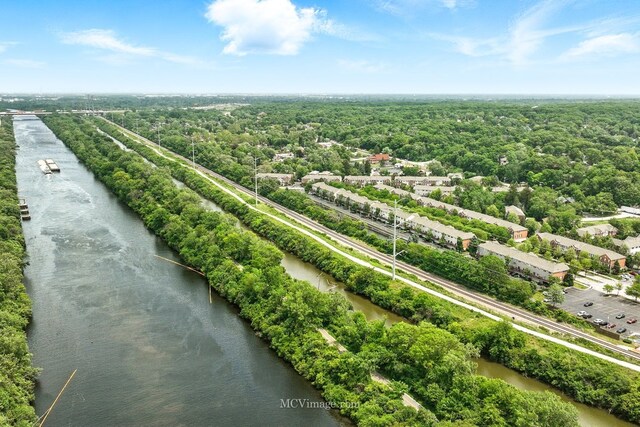 221 Willow Blvd, Willow Springs, IL 60480 - aerial view of a nearby body of water