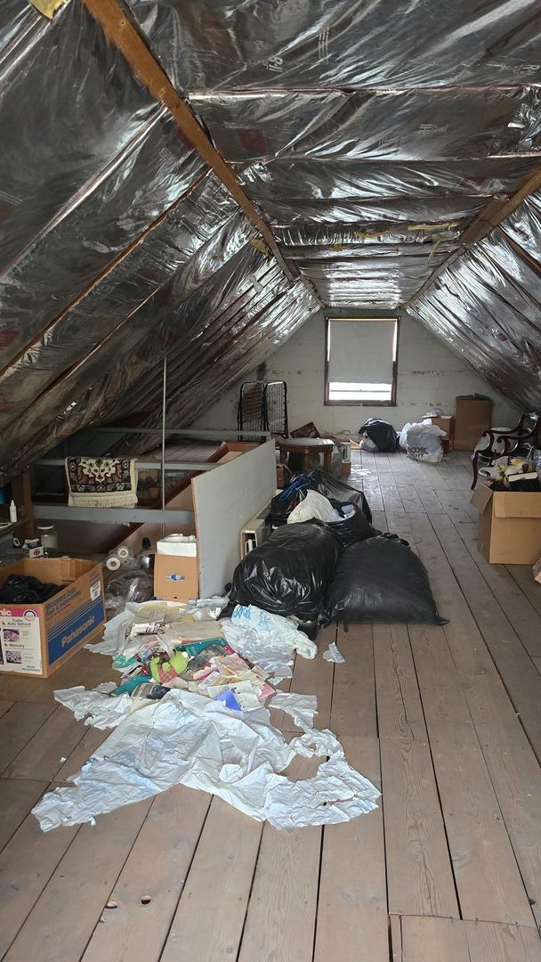 view of attic