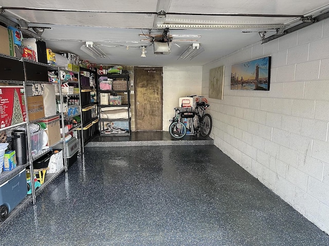 320 Sheridan Dr Unit 2C, Willowbrook, IL 60527 - garage with a garage door opener and concrete block wall