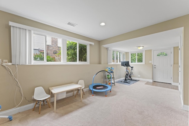 1122 N Cardinal Dr, Palatine, IL 60074 - workout room featuring carpet and baseboards