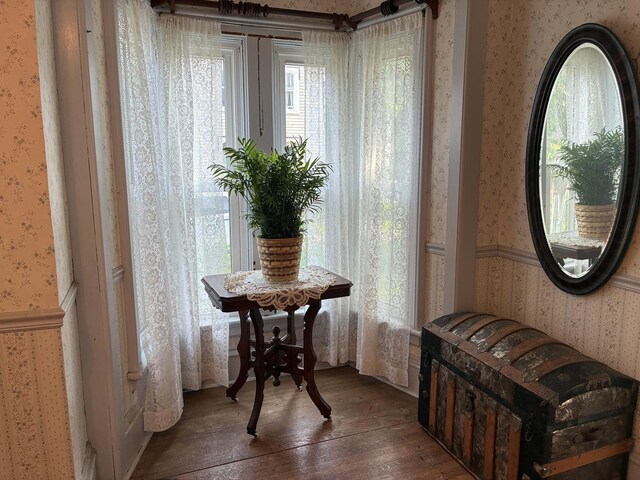 115 N Clay St, Mount Carroll, IL 61053 - foyer entrance featuring wallpapered walls, hardwood / wood-style flooring, and wainscoting