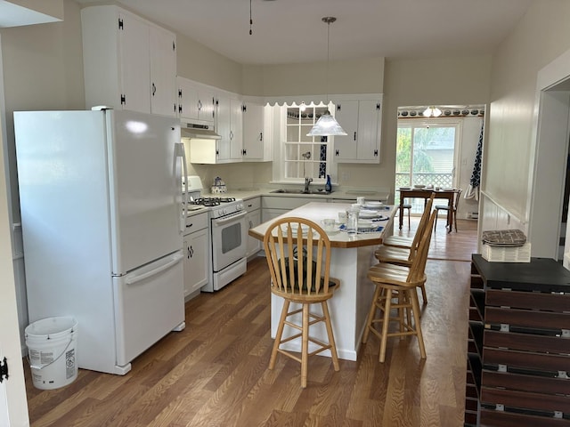 115 N Clay St, Mount Carroll, IL 61053 - kitchen with white appliances, under cabinet range hood, a sink, dark wood-style flooring, and light countertops